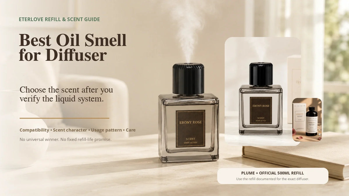 EterLove Plume Automatic Scent Diffuser with the official 500ml Plume fragrance refill in a warm home setting for a guide about diffuser scent choice, refill compatibility, usage pattern and care