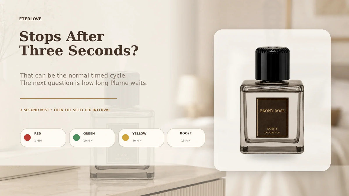 EterLove Plume Automatic Scent Diffuser explaining normal three-second timed mist cycles