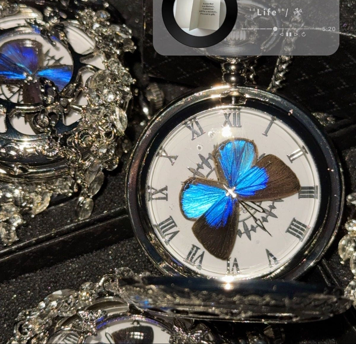 BUTTERFLY IN TIME– Handcrafted Pocket Watch