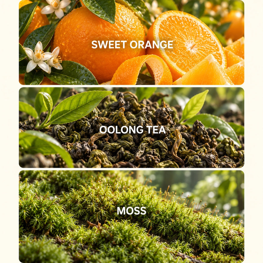 Oolong Mist alternate view