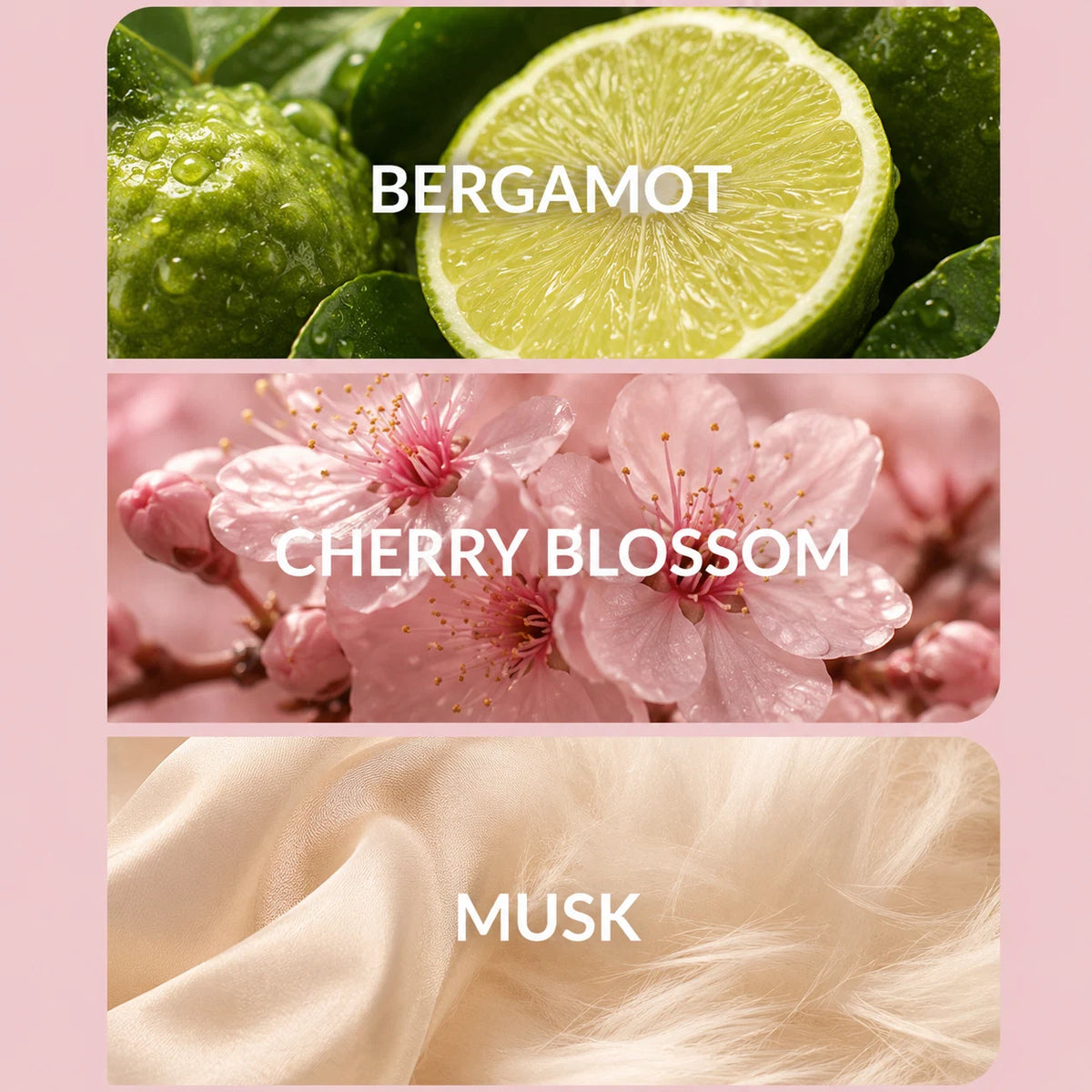 Blush Sakura Breeze