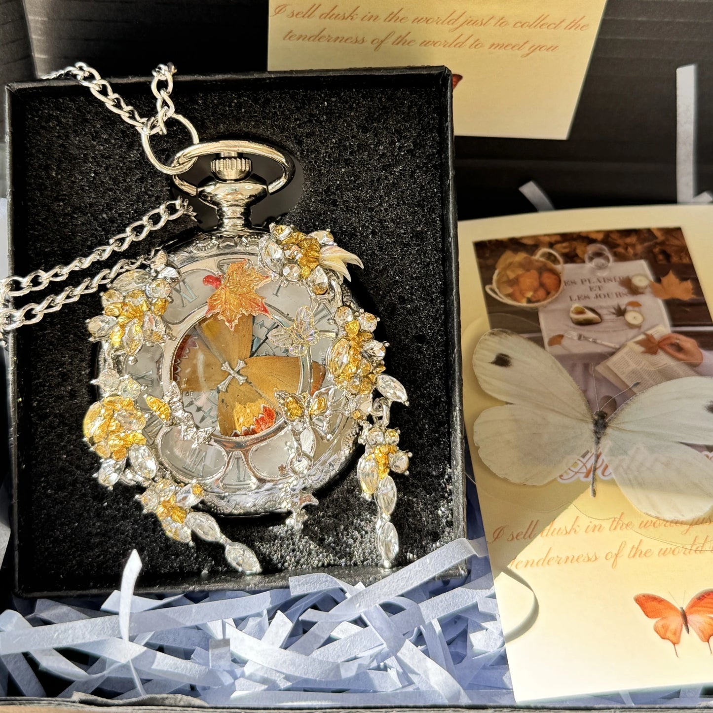 BUTTERFLY IN TIME– Special Edition